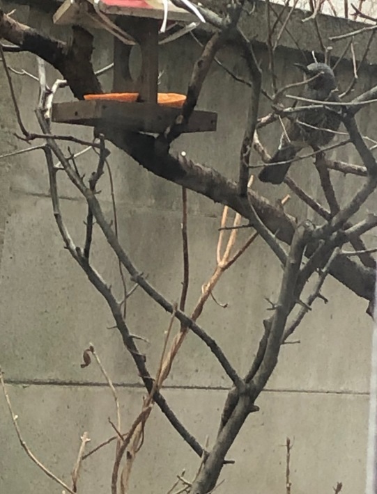 ご縁_a0395626_00075376.jpeg