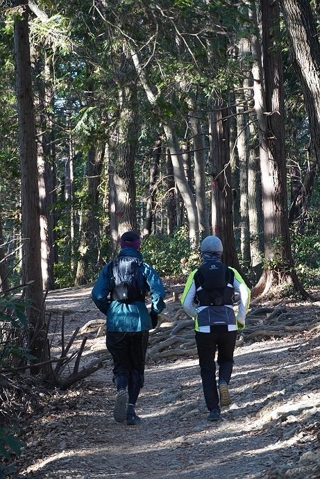 高尾山初詣登山　その3_c0196928_08085703.jpg