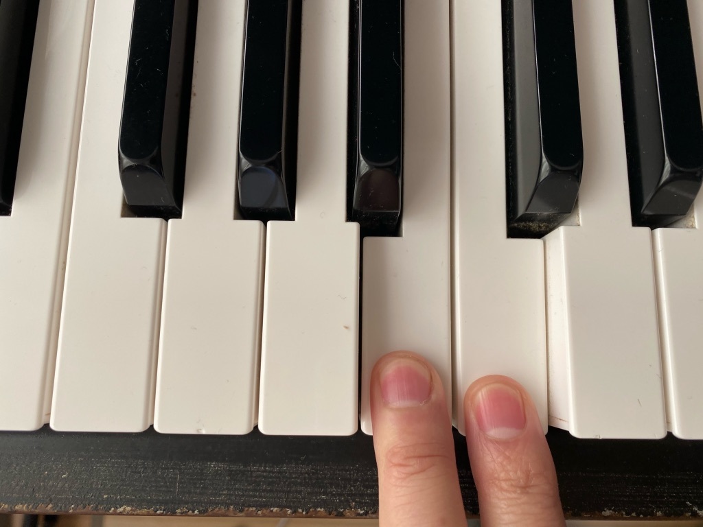 ティファニー　ブルースハープ　キーC Cのブルースハープを使用する曲のKEY - 福岡ハーモニカ