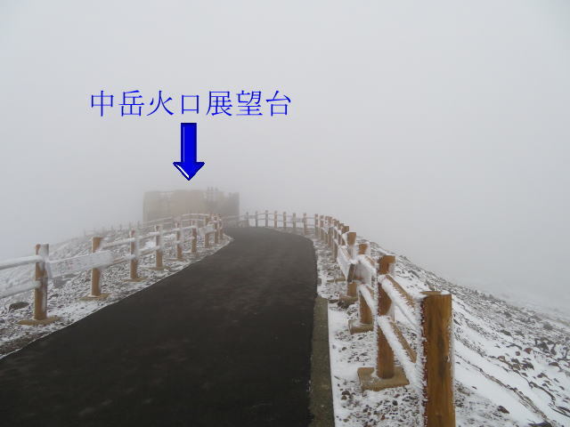 さんふらわあ船旅プランで九州火山帯満喫 熊本編 2日目 6 01 02 静かなお山の森歩き さんふらわあ船旅プランで九州火山帯満喫 熊本編 2日目 6 01 02 静かなお山の森歩き
