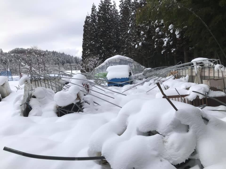 大雪による農林水産関係被害_b0199244_15024326.jpg
