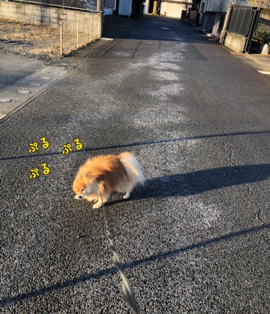 ちゃぶい!!_b0208246_09115480.jpg