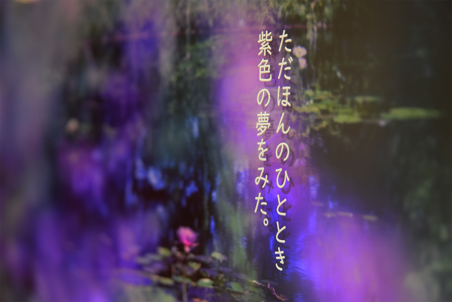 2021年1月13日(水)〜18日(月) 「 あと5秒 愛してる。」ソナチネ詩音 @ 搬入〜初日_e0272050_15511917.jpg
