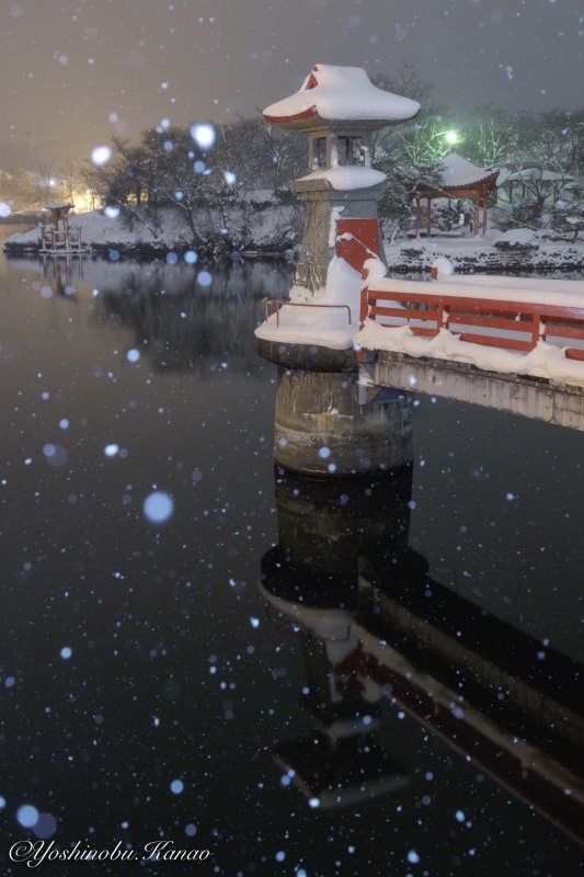 庄原上野公園の雪景色 写真ブログ 四季の詩 庄原上野公園の雪景色 写真ブログ 四季の詩