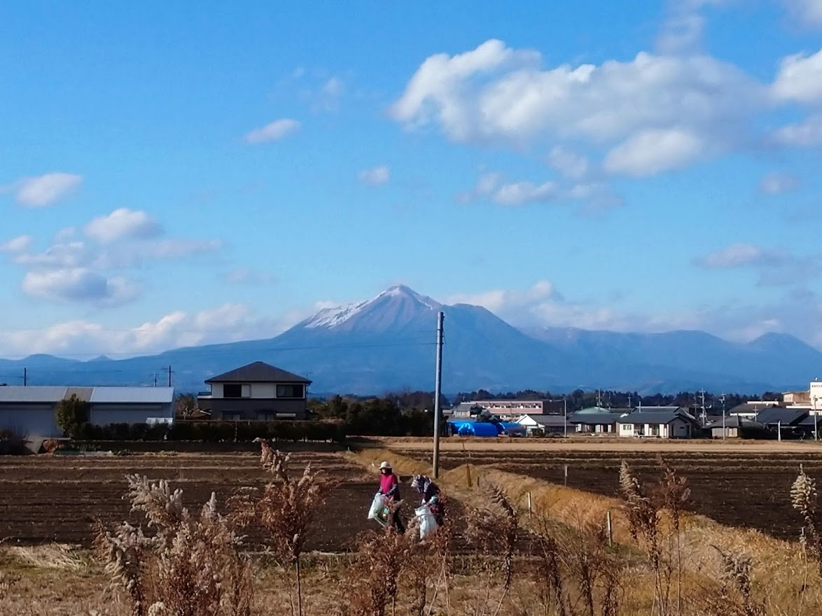 久しぶりに暖かな日中_f0197985_18522626.jpg