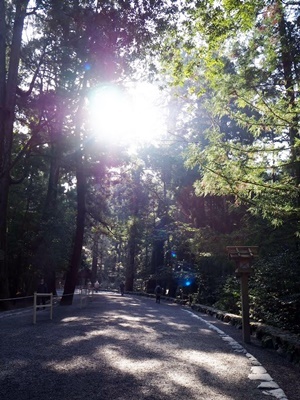 神宮参拝　その2　神馬「草新号」_f0129726_18320645.jpg
