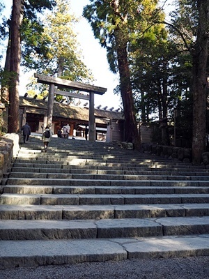 神宮参拝 その2 神馬「草新号」_f0129726_18321023.jpg