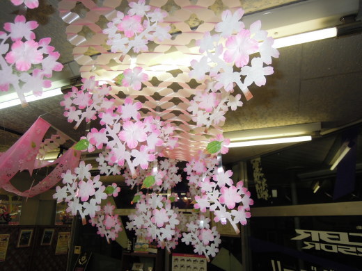 春が爛漫?ですやん!_f0056935_19563751.jpg