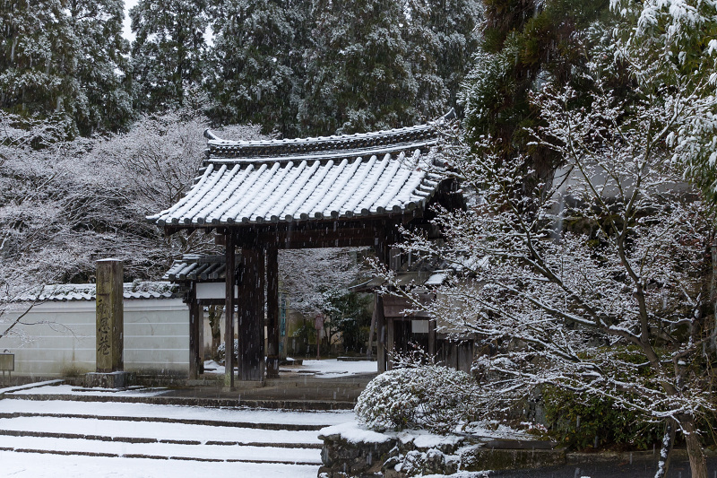 雪の京都2021　雪の華咲く参道（酬恩庵一休寺）_f0155048_21344524.jpg