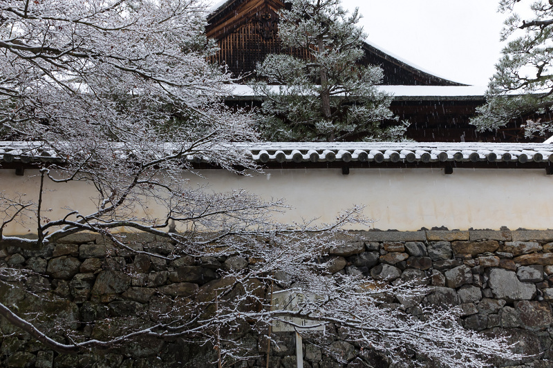 雪の京都2021　雪の華咲く参道（酬恩庵一休寺）_f0155048_21355386.jpg