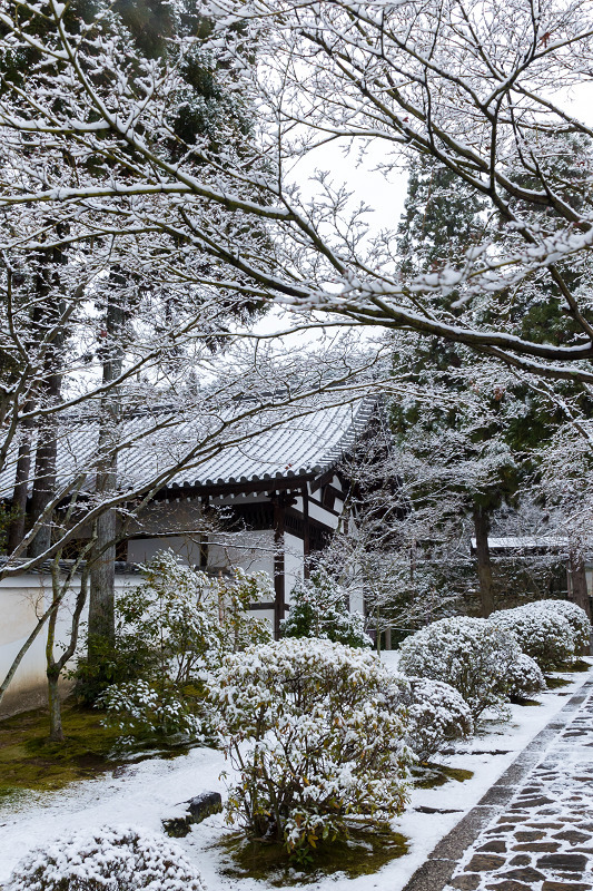 雪の京都2021　雪の華咲く参道（酬恩庵一休寺）_f0155048_21373208.jpg