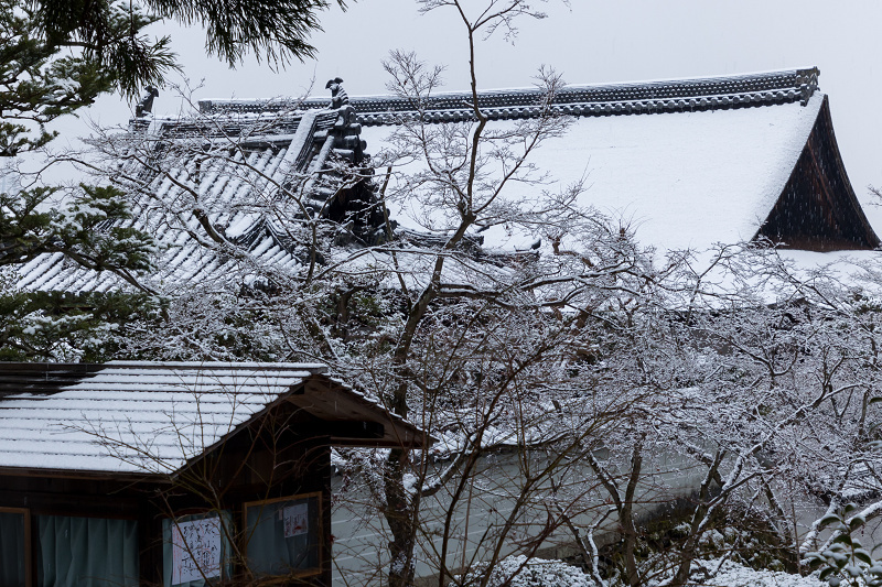雪の京都2021　雪の華咲く参道（酬恩庵一休寺）_f0155048_21433997.jpg