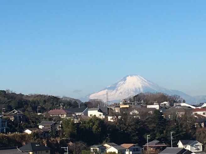 日中ポカポカでした!_f0103755_16382948.jpeg