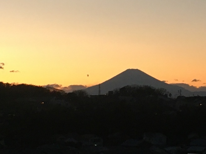 日中ポカポカでした!_f0103755_16391028.jpeg