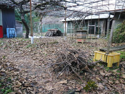水源キウイ 2021年も惜しまぬ手間ひまをかけ無農薬で育てます!雪が溶け冬の剪定作業再開です!_a0254656_17021946.jpg