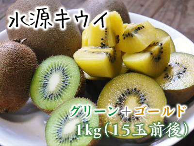 水源キウイ 2021年も惜しまぬ手間ひまをかけ無農薬で育てます!雪が溶け冬の剪定作業再開です!_a0254656_17113659.jpg