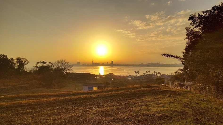 2021/1/14 今日の島暮らし/我が家の朝_f0201157_16373862.jpg