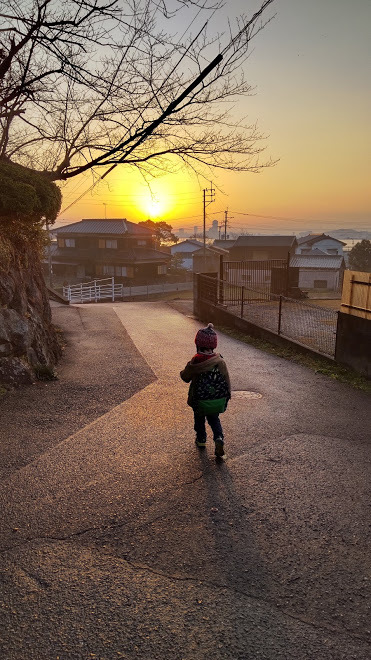 2021/1/14 今日の島暮らし/我が家の朝_f0201157_16432250.jpg