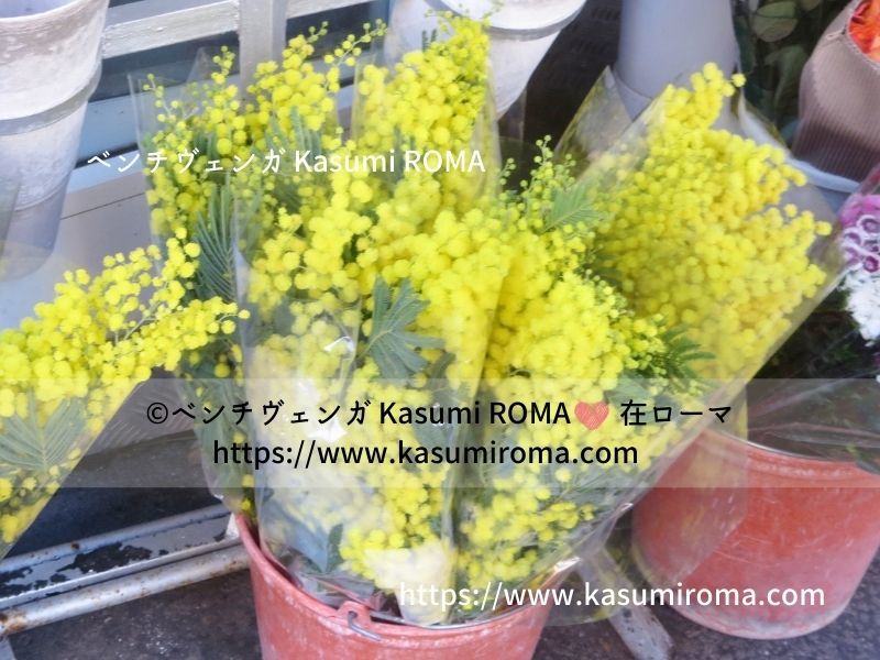 ビタミンカラー「ミモザの花、おでまし♪」2021_d0394860_05335764.jpg