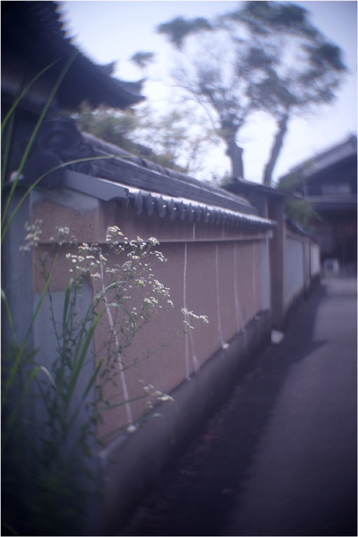 876 ローカルライン(2020年6月5日ダルメーヤー25mmf1.9奈良山村町帯解の地蔵巡り)超古代文明_c0168172_22155026.jpg