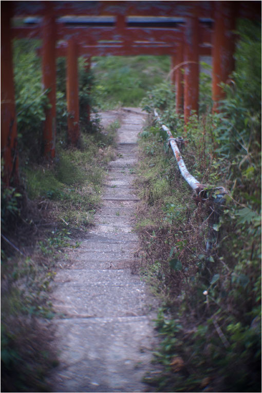876 ローカルライン(2020年6月5日ダルメーヤー25mmf1.9奈良山村町帯解の地蔵巡り)超古代文明_c0168172_22180849.jpg