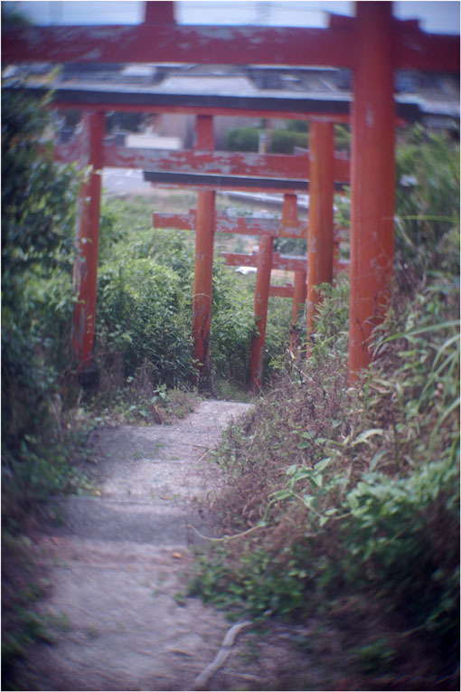 876 ローカルライン(2020年6月5日ダルメーヤー25mmf1.9奈良山村町帯解の地蔵巡り)超古代文明_c0168172_22182061.jpg