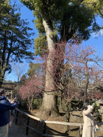 京都旅行_e0264287_09172594.jpg