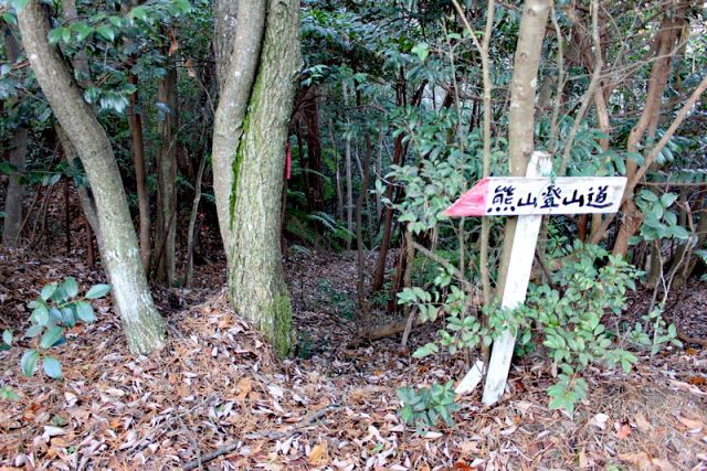 今日こそ段谷コースを登ってやる!の巻_f0325295_17384841.jpg