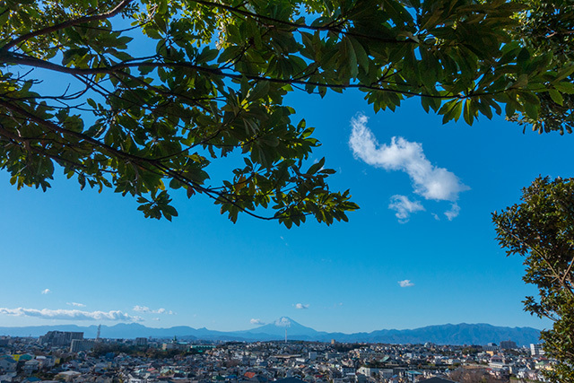 藤沢 本在寺公園から見た富士山_b0145398_22293807.jpg