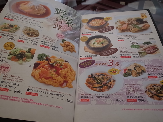 中華料理 大福園 岡山市北区大元 バディあきら 酒場放浪 食べ歩き 山歩き 音楽 ギター 映画にワンコ 時々野良猫 中華料理 大福園 岡山市北区大元 バディあきら 酒場放浪 食べ歩き 山歩き 音楽 ギター 映画にワンコ 時々野良猫