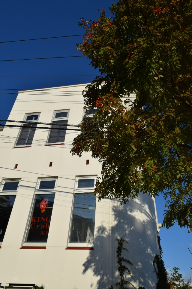 旧仁壽生命函館支店(建築家・関根要太郎作品?再見2021)_f0142606_17441145.jpg