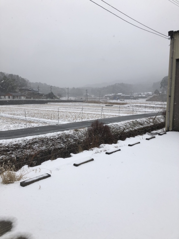 雪❄️_e0415021_16160510.jpg