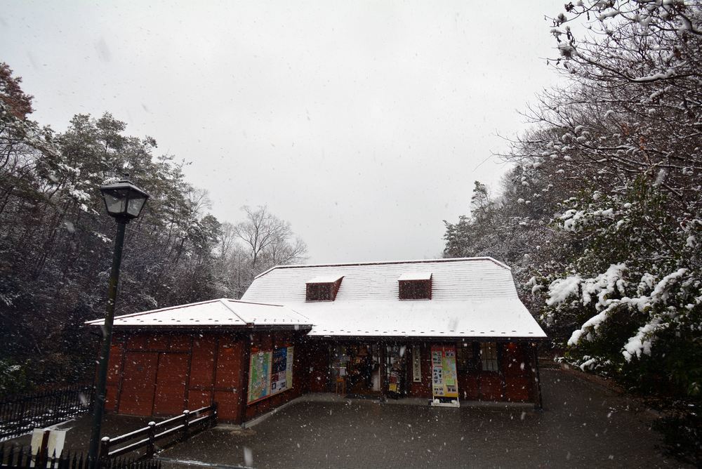 SL東京駅と雪_e0373930_22513327.jpg