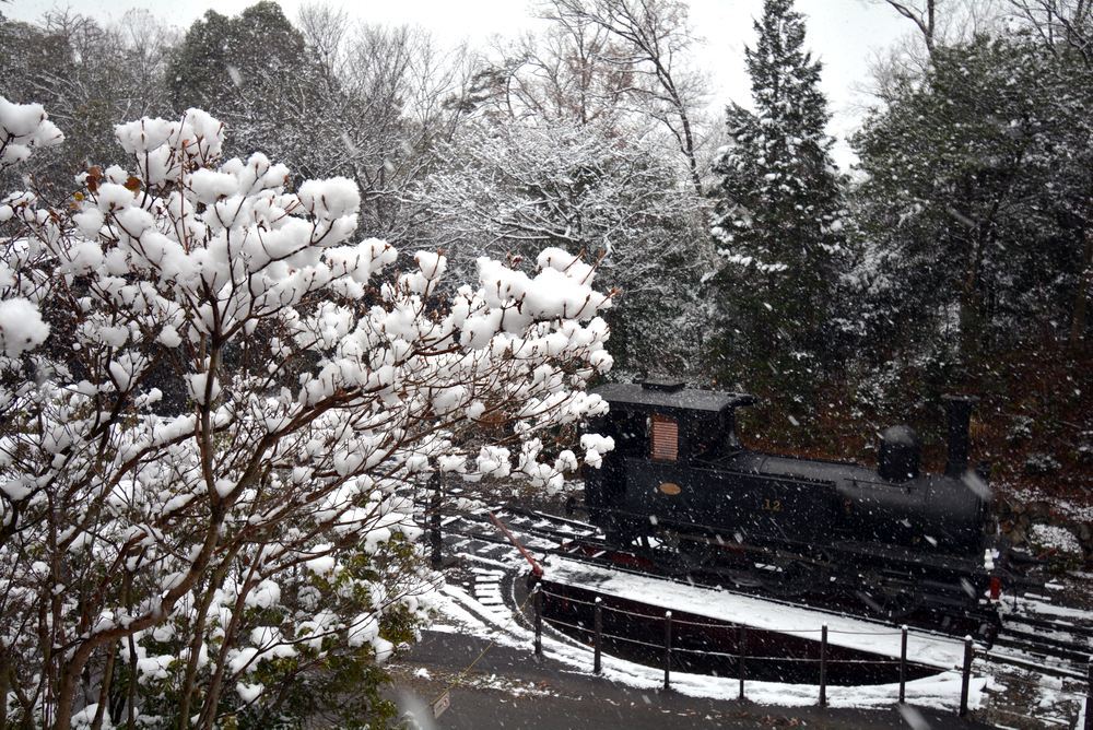 SL東京駅と雪_e0373930_22513338.jpg