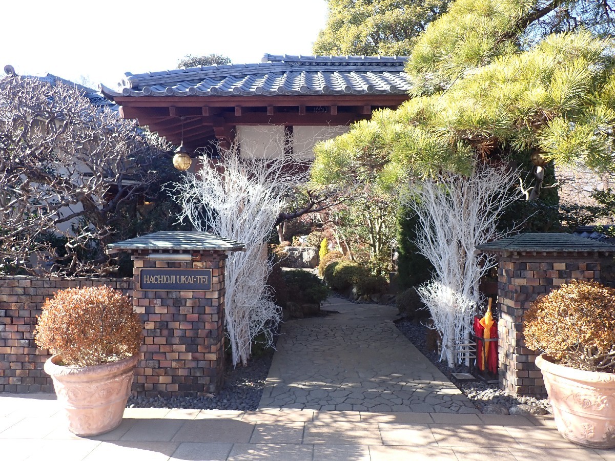 ランチ研修_d0367445_14420675.jpg