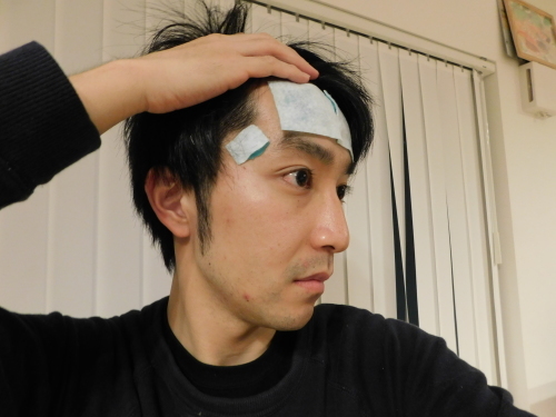 熱さまシートは こめかみ にこそ貼りたい おがわ収蔵館 熱さまシートは こめかみ にこそ貼りたい おがわ収蔵館