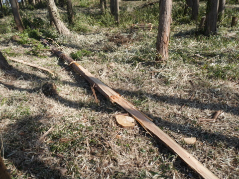 少人数だったが達成感ある充実した内容1・14六国見山手入れ_c0014967_21421274.jpg