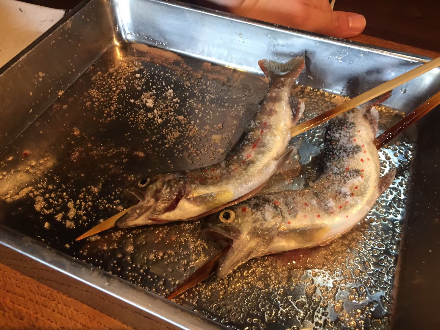 囲炉裏焼き あなみ_e0115904_13591094.jpg