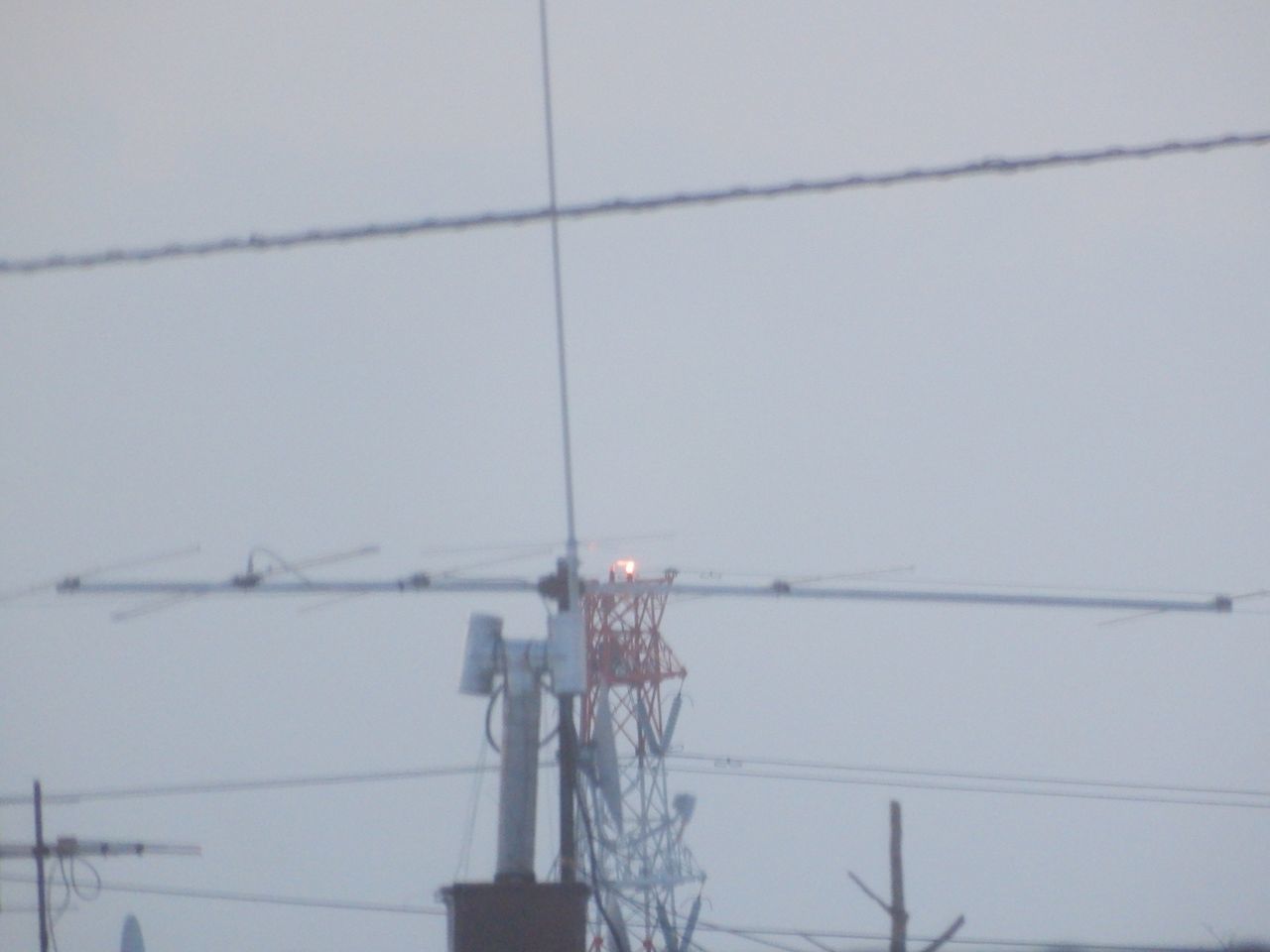 真冬日から一転、今年最高の暖かさ_c0025115_22032318.jpg