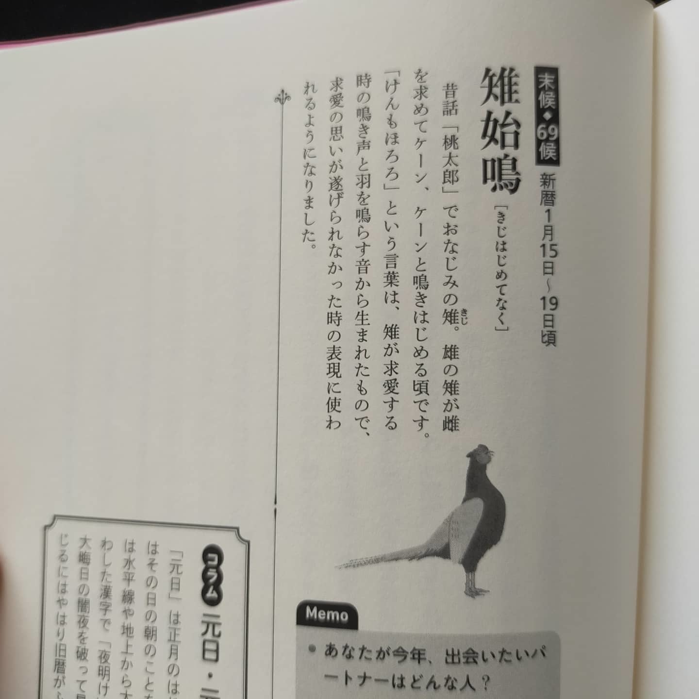 2101016 七十二候「雉始鳴 (きじはじめてなく)」_f0164842_10391087.jpg