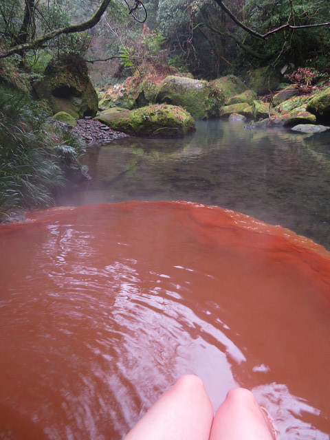 さんふらわあ船旅プランで九州火山帯満喫 鹿児島編part 5日目 6 01 05 静かなお山の森歩き さんふらわあ船旅プランで九州火山帯満喫 鹿児島編part 5日目 6 01 05 静かなお山の森歩き