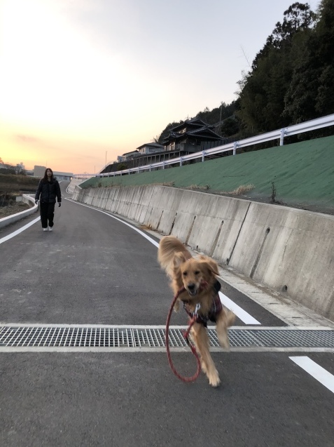だらだらday。_a0394574_23454663.jpeg