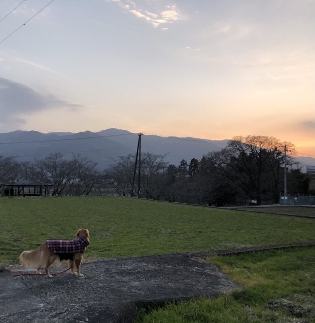だらだらday。_a0394574_23473991.jpeg