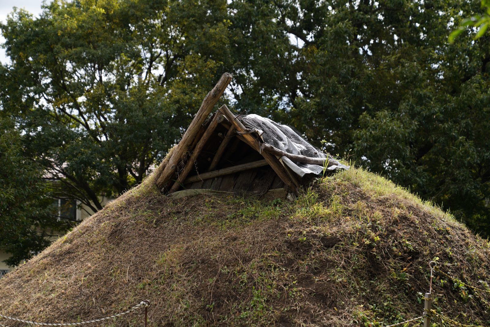 【史跡｜勝坂遺跡公園】　遺跡の紹介、画像など　（神奈川県 相模原市）_b0212342_14211311.jpg