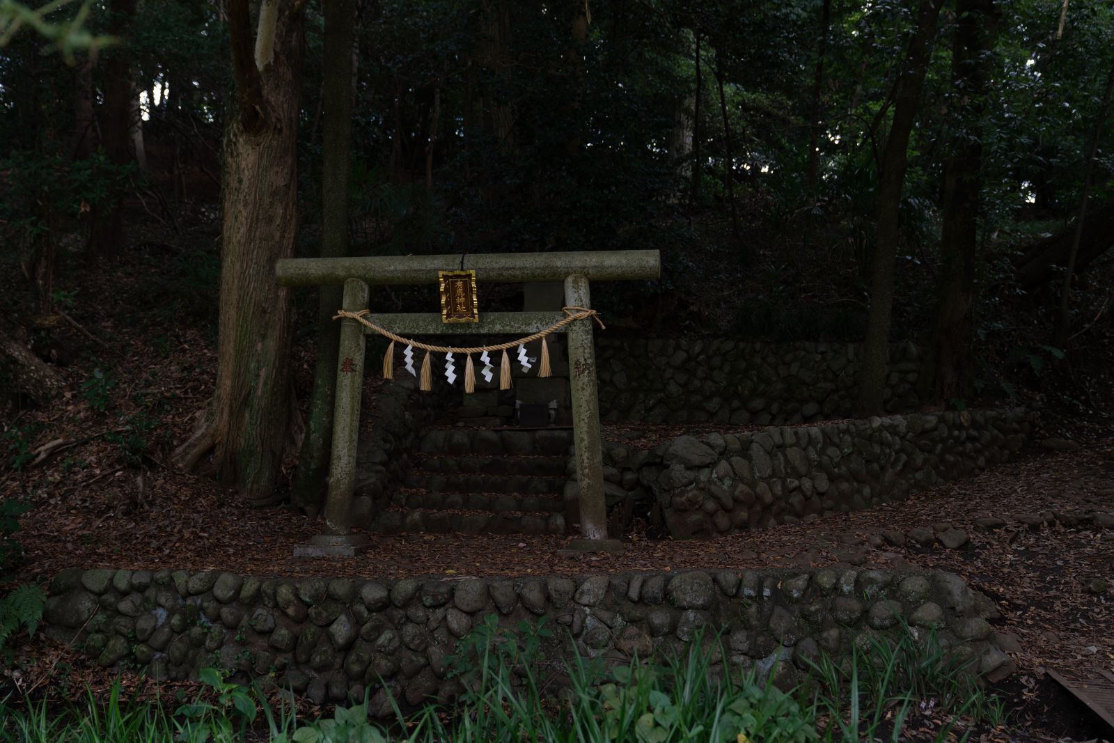 【史跡｜勝坂遺跡公園】　遺跡の紹介、画像など　（神奈川県 相模原市）_b0212342_14243382.jpg