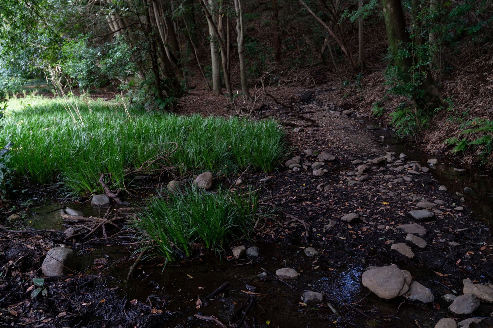 【史跡｜勝坂遺跡公園】　遺跡の紹介、画像など　（神奈川県 相模原市）_b0212342_14245370.jpg