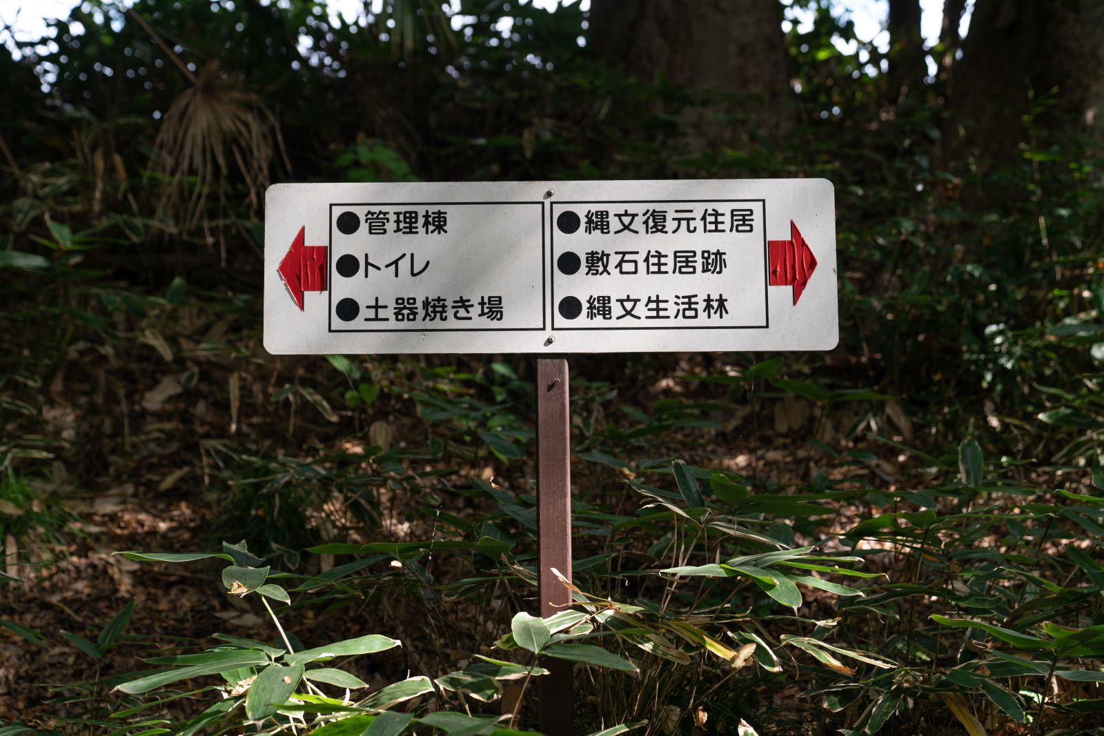 【史跡|勝坂遺跡公園】 無料駐車場など、行き方の詳細案内 (神奈川県 相模原市)_b0212342_14302604.jpg