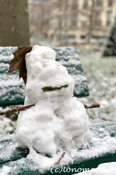 束の間のパリの雪遊び_c0024345_17522967.jpg