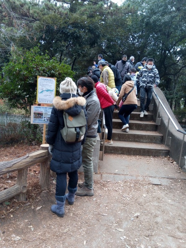 池の水全部抜いてみた_d0367445_19260814.jpg