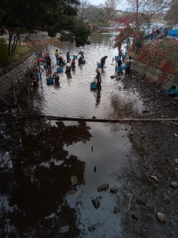池の水全部抜いてみた_d0367445_19260825.jpg